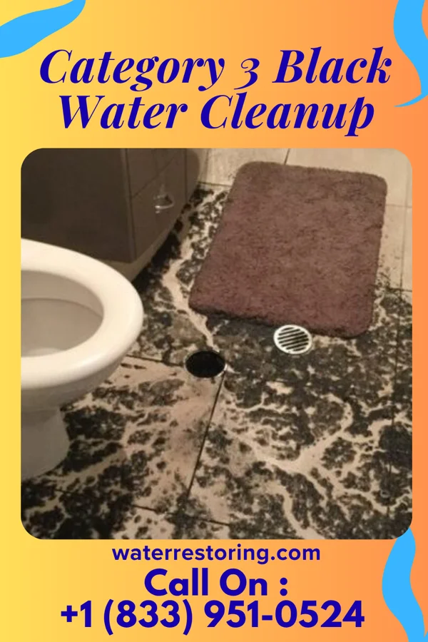Category 3 Black Water Cleanup in Highlands, NC